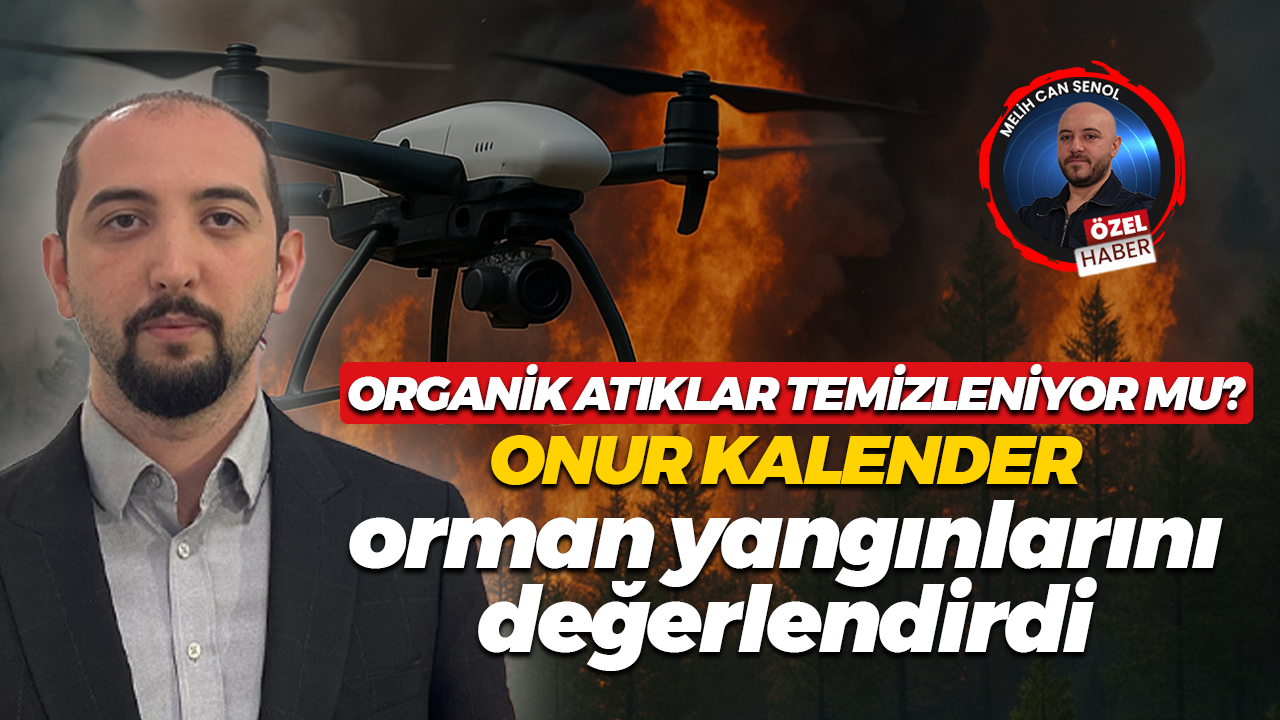 Organik atıklar temizleniyor mu? Onur Kalender, orman yangınlarını değerlendirdi