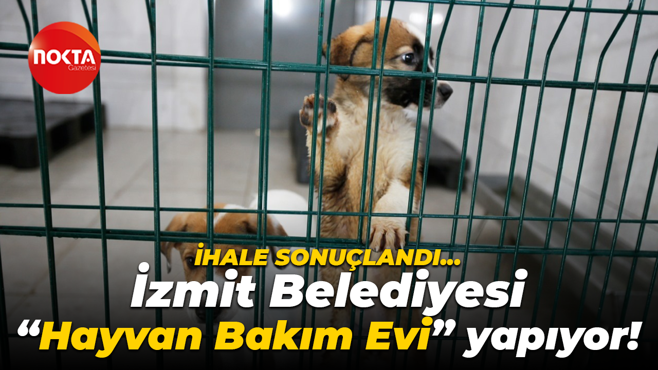 İhale sonuçlandı… İzmit Belediyesi “Hayvan Bakım Evi” yapıyor!