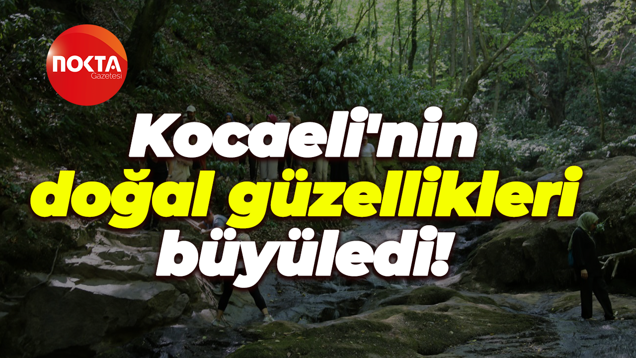 Kocaeli'nin doğal güzellikleri büyüledi!