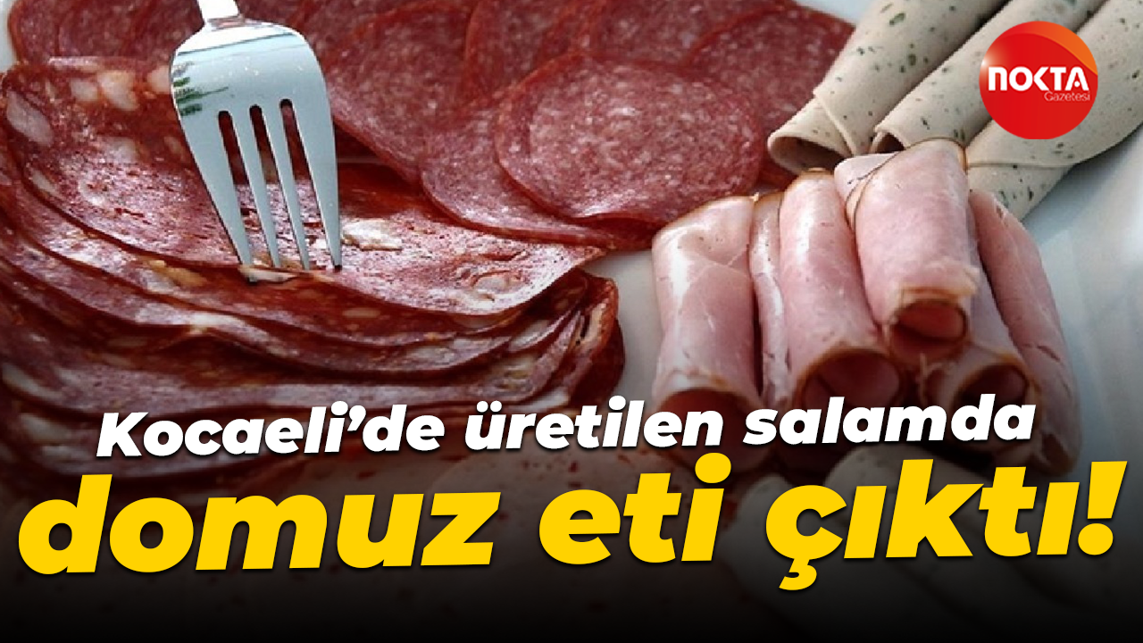 Kocaeli’de üretilen salamda domuz eti çıktı!