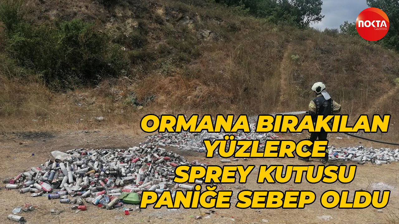 Ormana bırakılan yüzlerce sprey kutusu paniğe sebep oldu