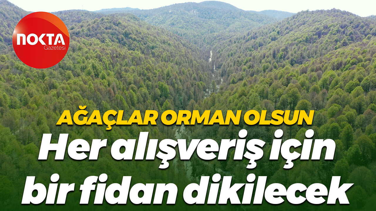 Ağaçlar orman olsun... Her alışveriş için bir fidan dikilecek