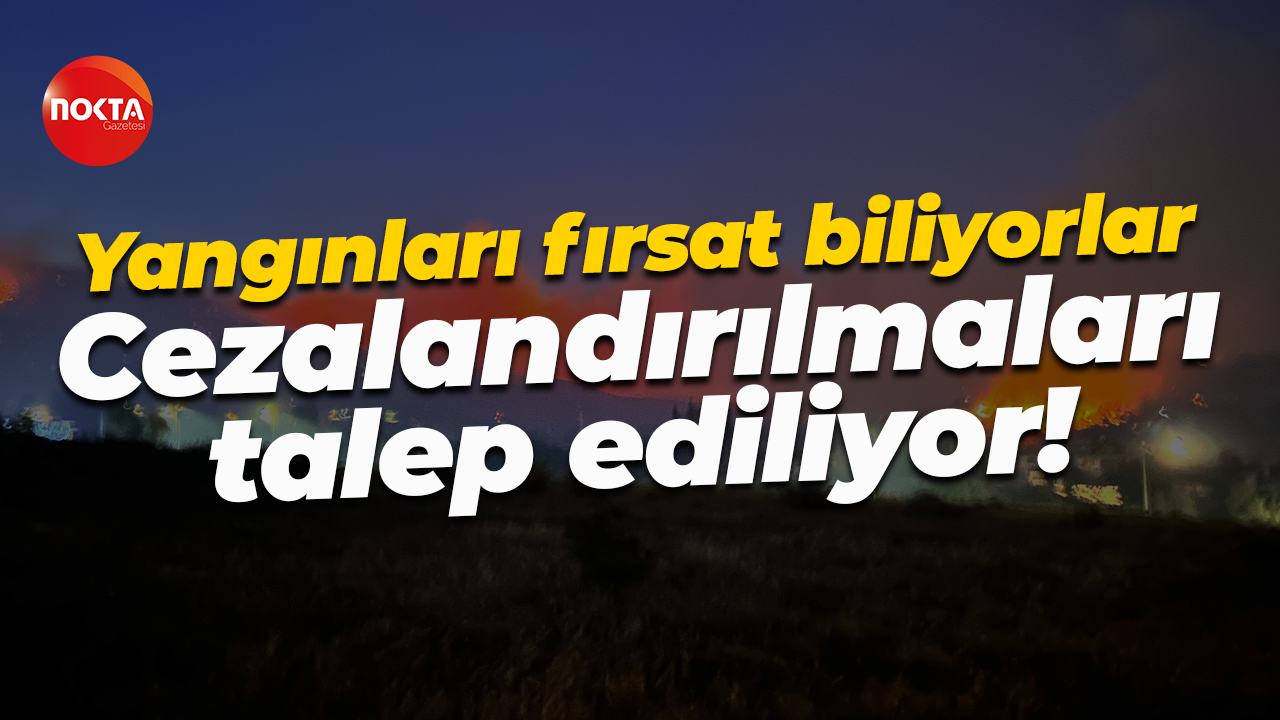Yangınları fırsat biliyorlar... Cezalandırılmaları talep ediliyor!