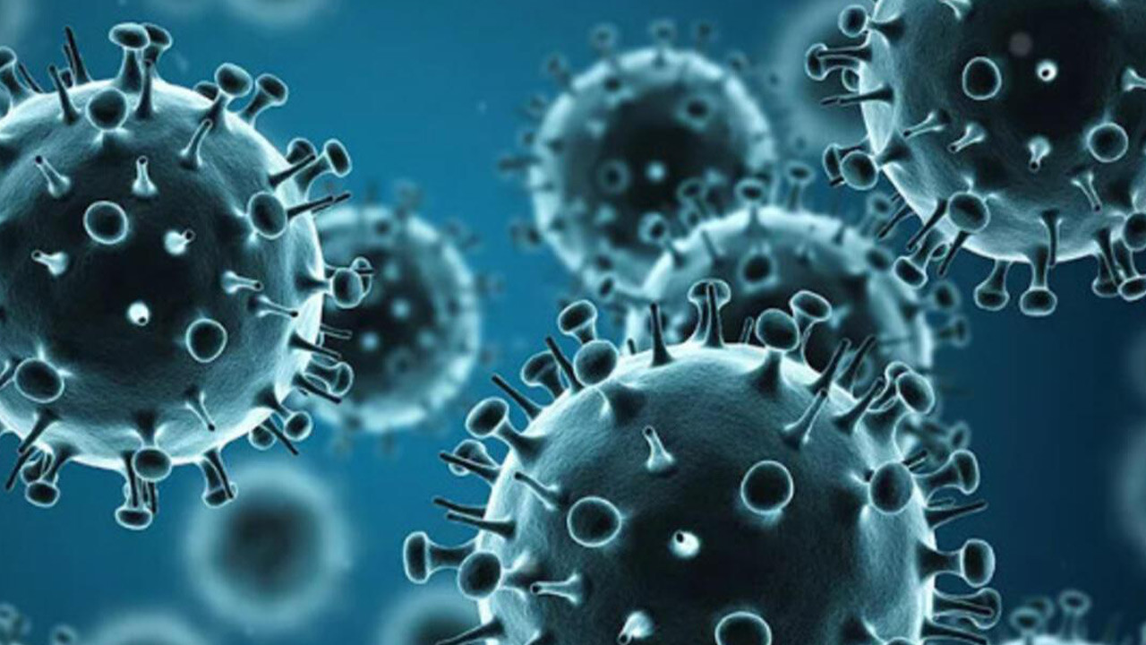 İnfluenza Nedir? Belirtileri ve Tedavisi