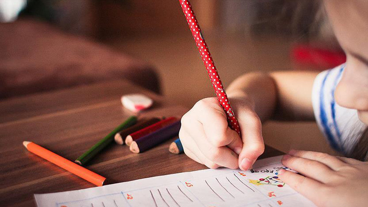 MEB RUHSATI İPTAL EDİLEN OKULLAR LİSTESİ: Ruhsatı İptal Edilen Özel Okullar Hangileri?