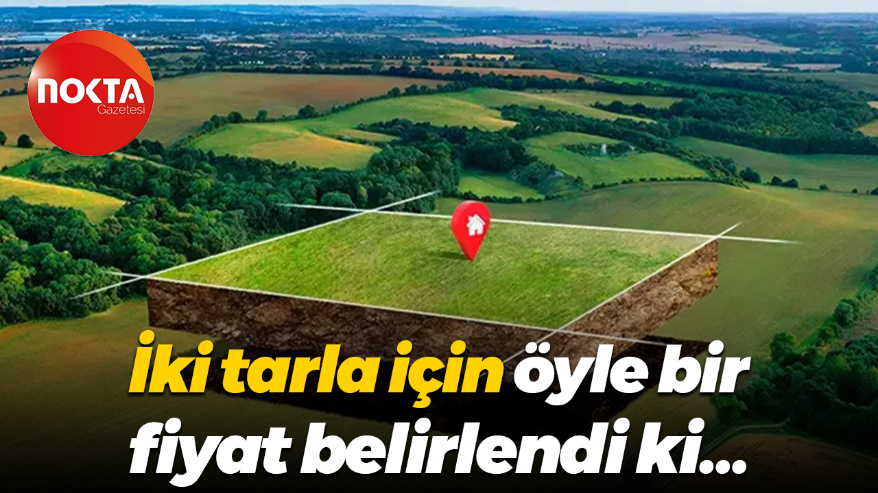 İki tarla için öyle bir fiyat belirlendi ki…