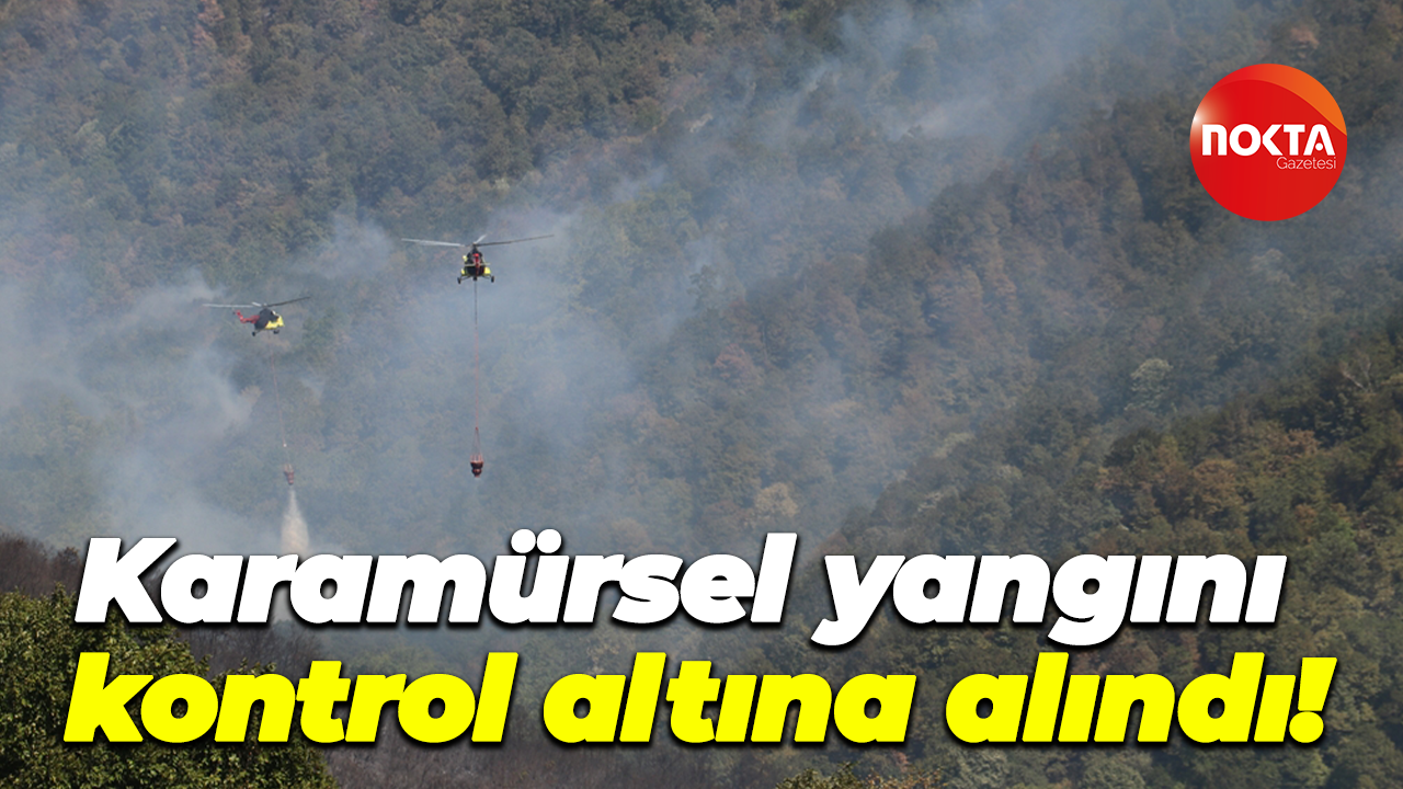 Karamürsel yangını kontrol altına alındı!