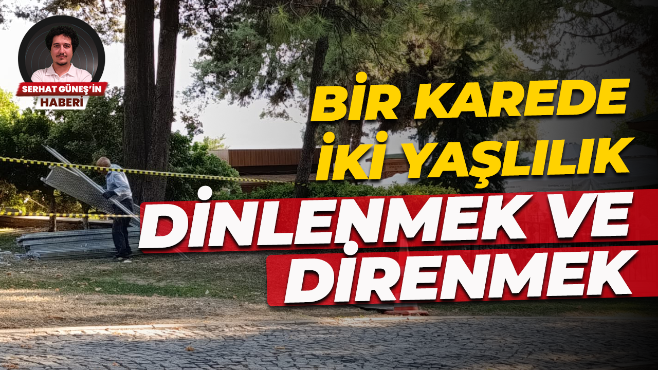 Bir karede iki yaşlılık... Dinlenmek ve direnmek