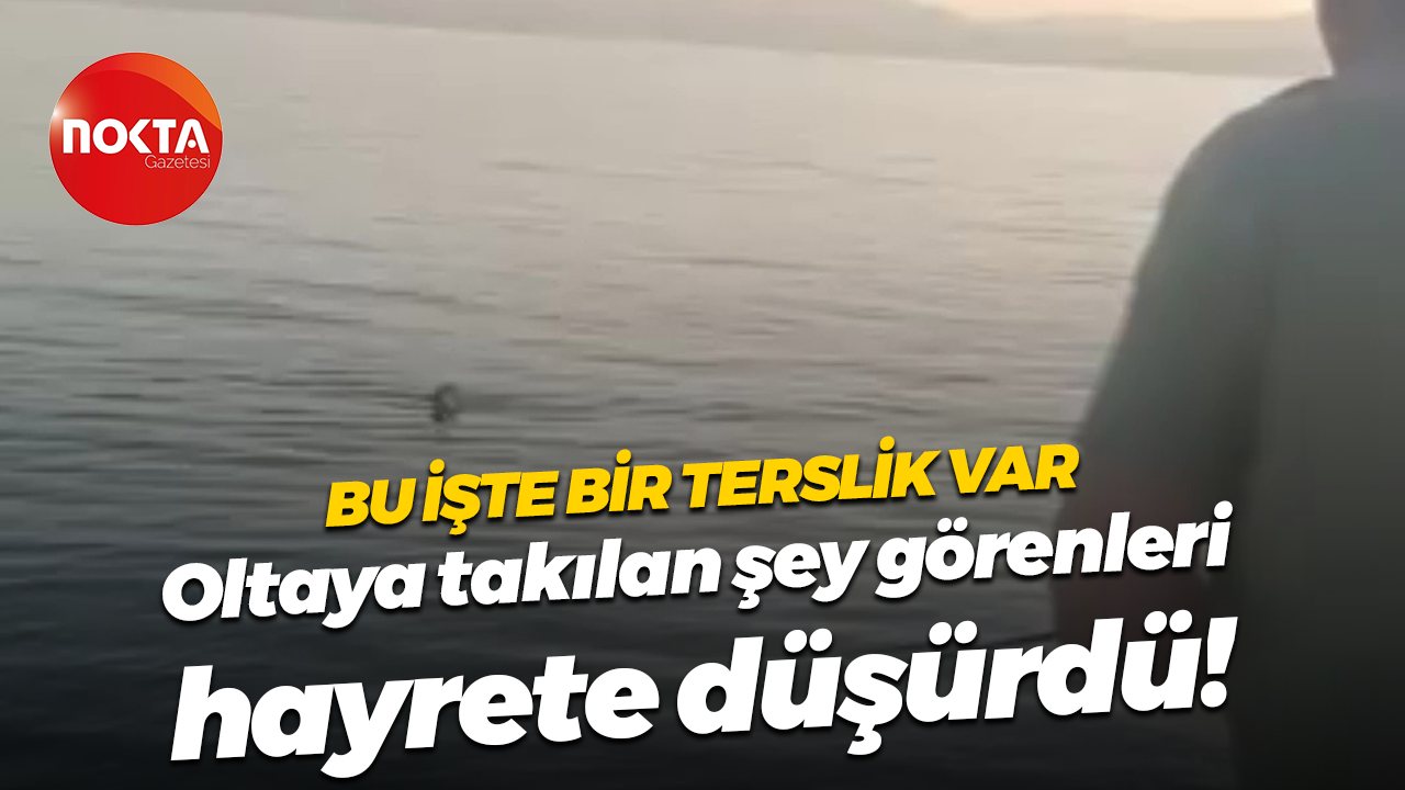 Bu işte bir terslik var... Oltaya takılan şey görenleri hayrete düşürdü