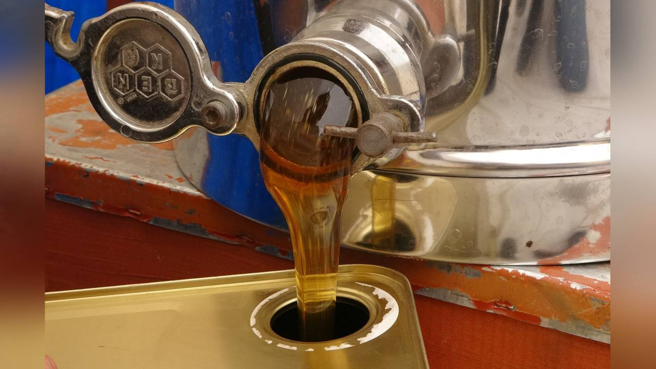 Dünyanın en iyi balı petekleri doldurdu