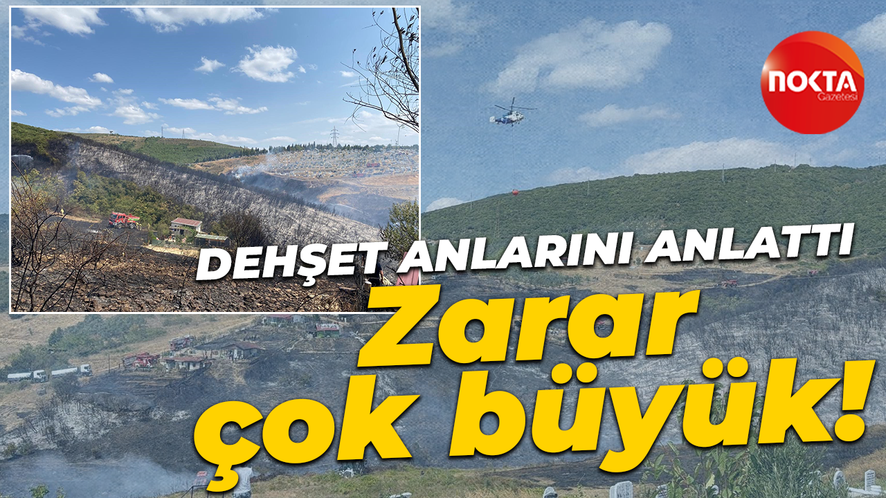 Kocaeli'deki yangın söndürüldü: Geriye acı bir tablo kaldı!