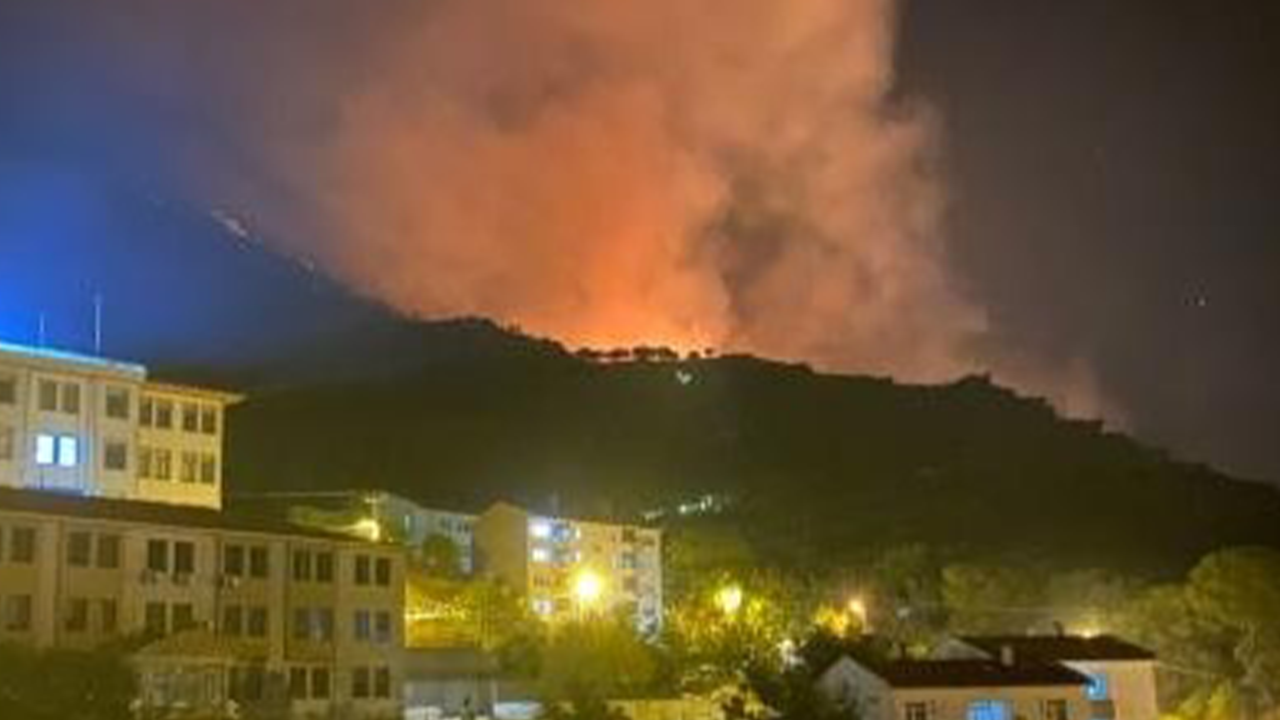 Marmara Adası'nda yangın çıktı!