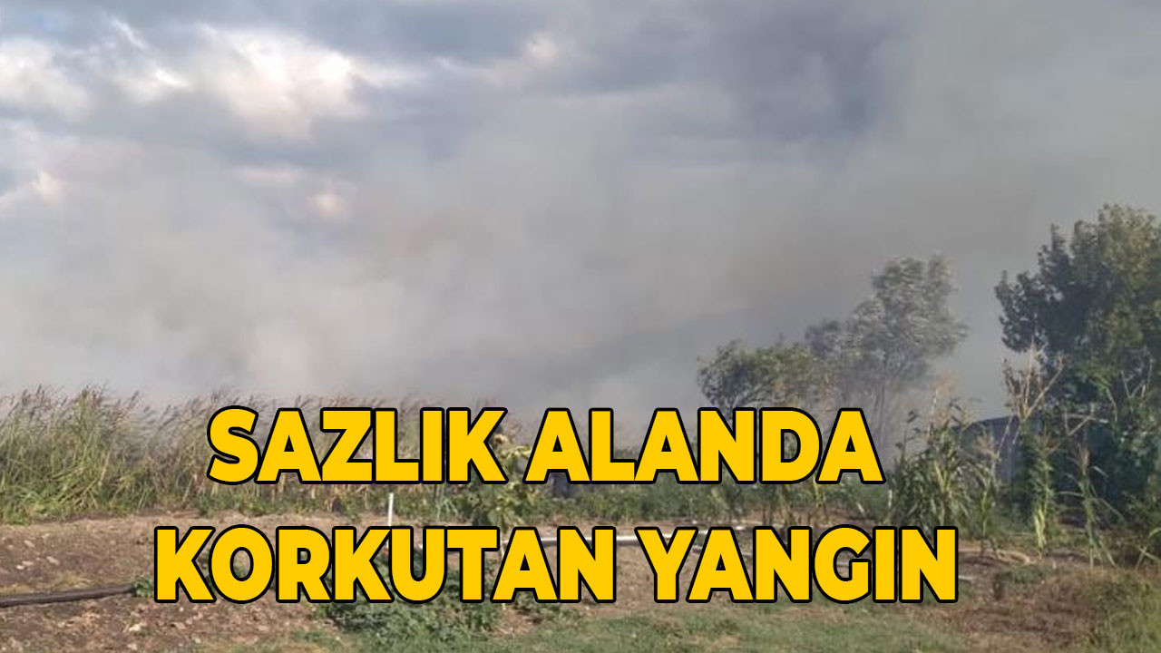 Kocaeli'de sazlık alanda korkutan yangın