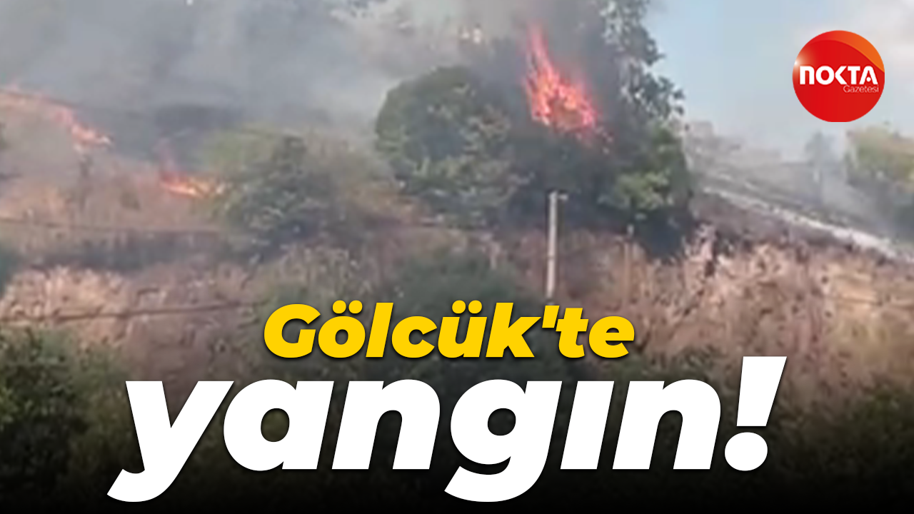 Gölcük'te yangın!