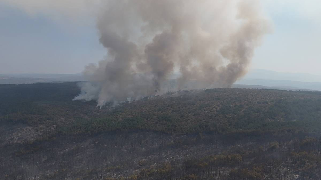 Karabük'te acı tablo: Saatlerdir yanıyor!