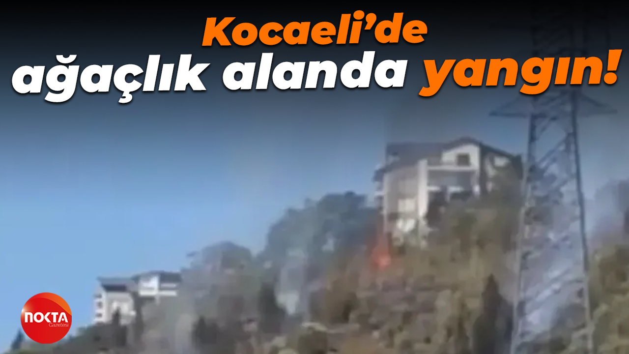Kocaeli’de ağaçlık alanda yangın çıktı!