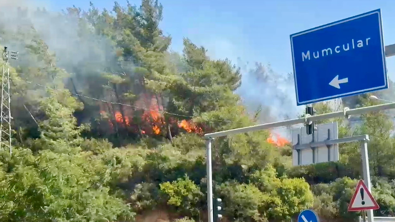 Muğla'daki yangın kontrol altına alındı!