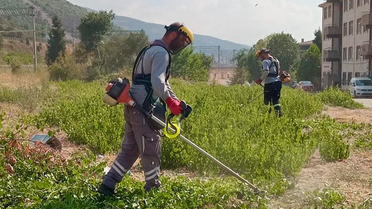 Körfez'de temizlik çalışmaları devam ediyor
