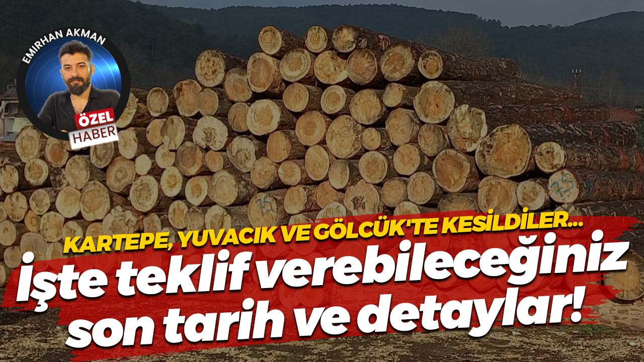 Yuvacık, Gölcük ve Kartepe’den odun satılacak! İşte detaylar