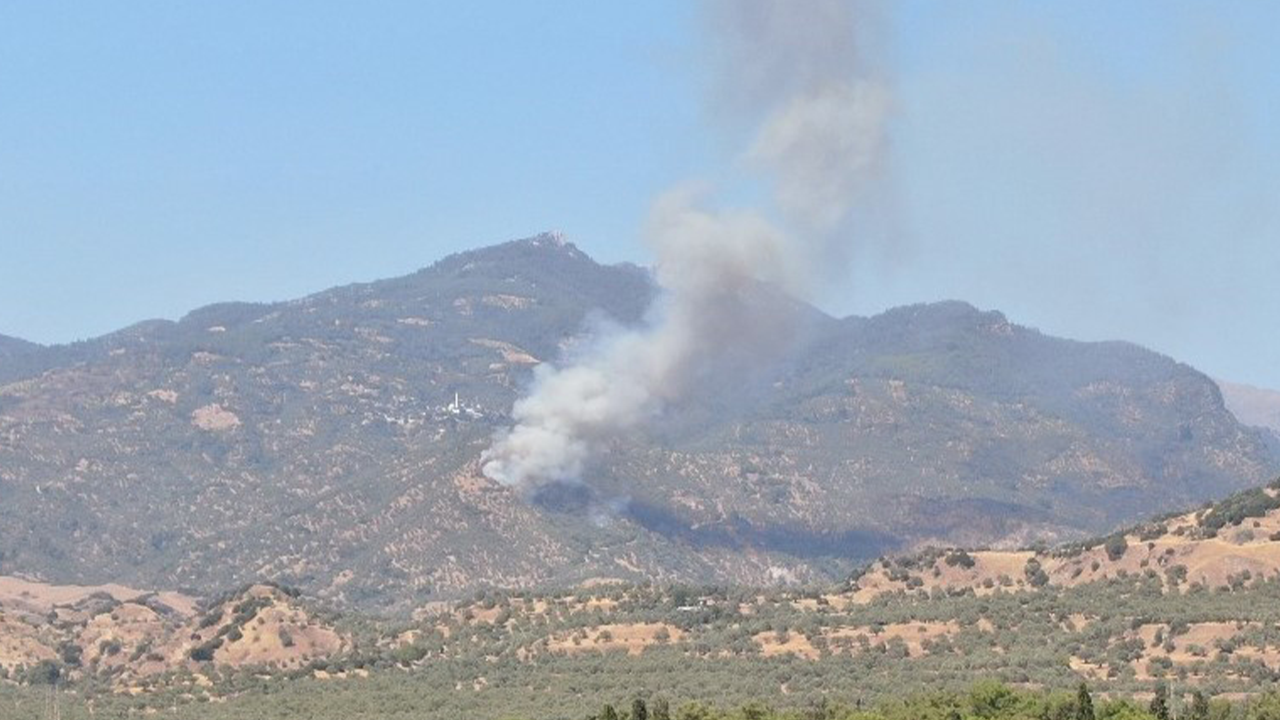 Aydın'da orman yangını!