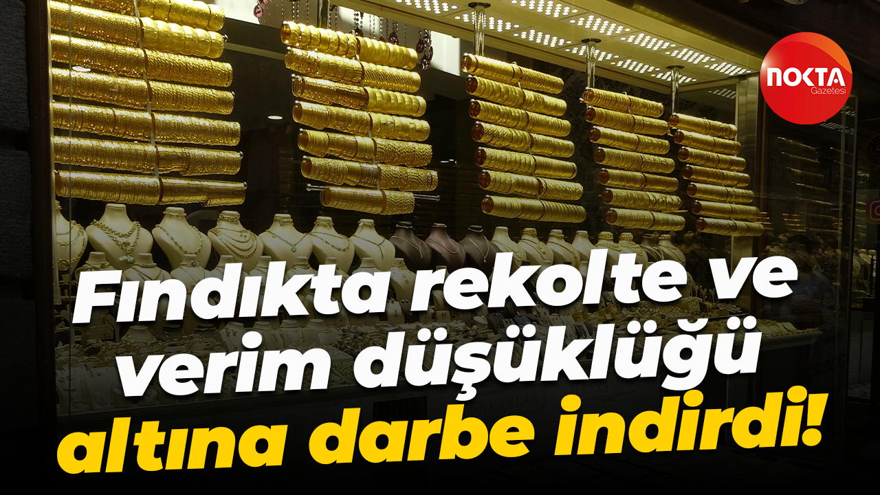 Fındıkta rekolte ve verim düşüklüğü altına darbe indirdi!