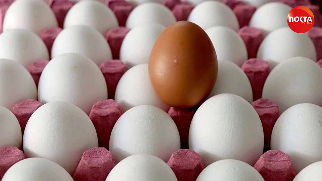 TÜİK açıkladı: Yumurta üretiminde sert düşüş!