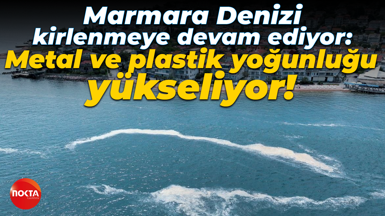 Marmara Denizi kirlenmeye devam ediyor: Metal ve plastik yoğunluğu yükseliyor!