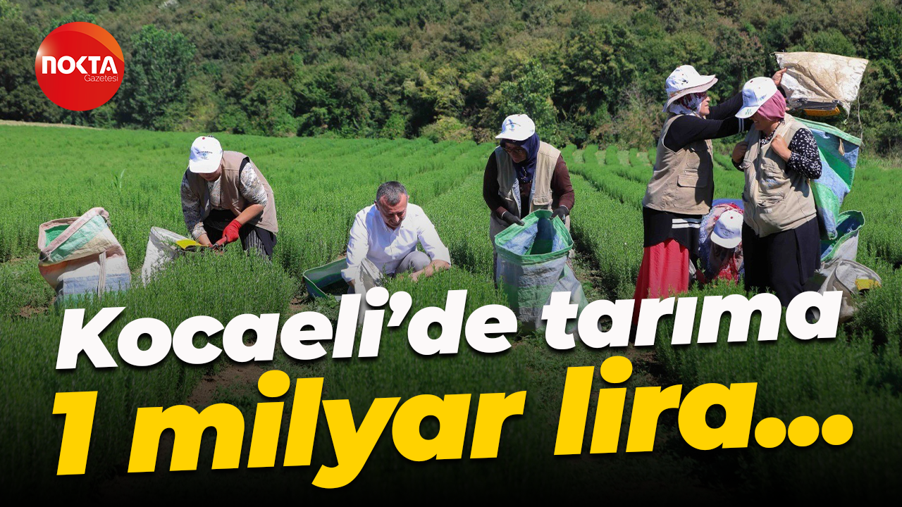 Kocaeli’de tarıma 1 milyar lira...