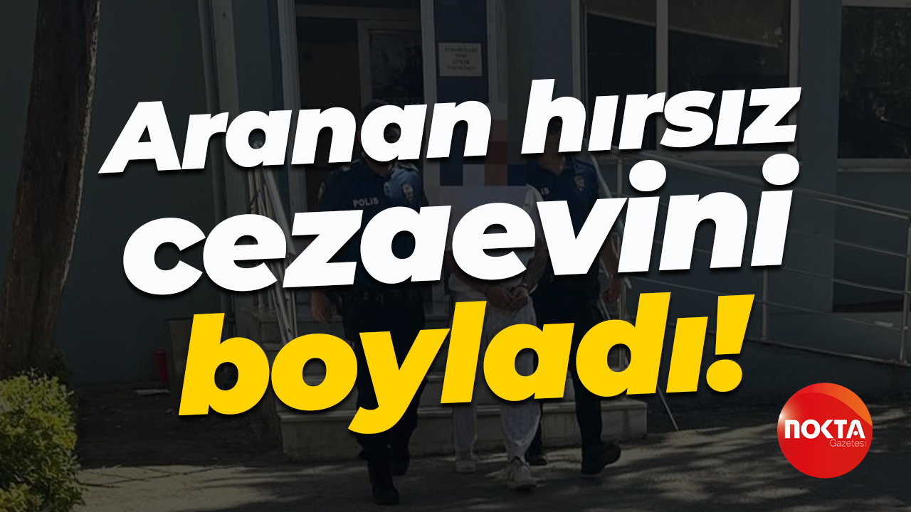 Aranan hırsız cezaevini boyladı!