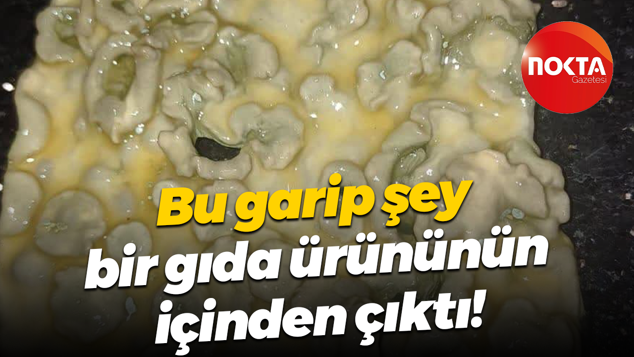 Bu garip şey bir gıda ürününün içinden çıktı!