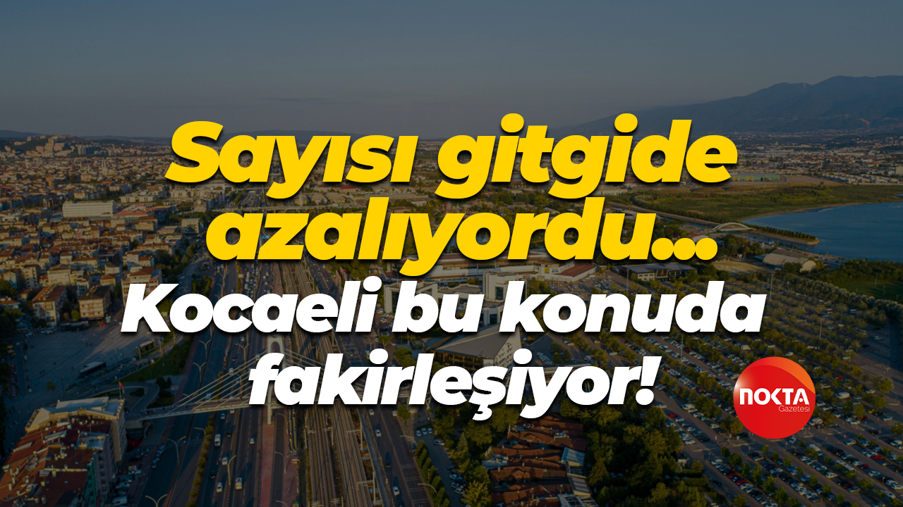 Sayısı gitgide azalıyordu, bir de bu çıktı! Kocaeli bu konuda fakirleşiyor