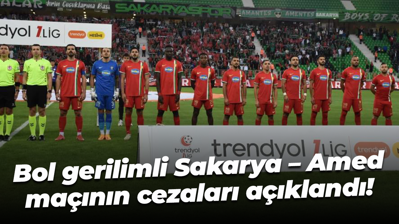 Bol gerilimli Sakarya – Amed maçının cezaları açıklandı!