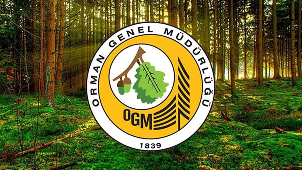 Orman Genel Müdürlüğü 262 Daimi İşçi Alımı Başvuru Şartları || OGM İşçi Başvurusu Nereden Yapılır?