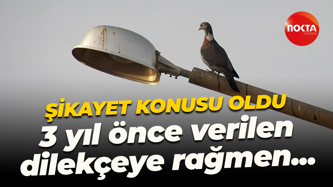 Sokak aydınlatmaları şikayet konusu oldu! 3 yıl önce verilen dilekçeye rağmen...