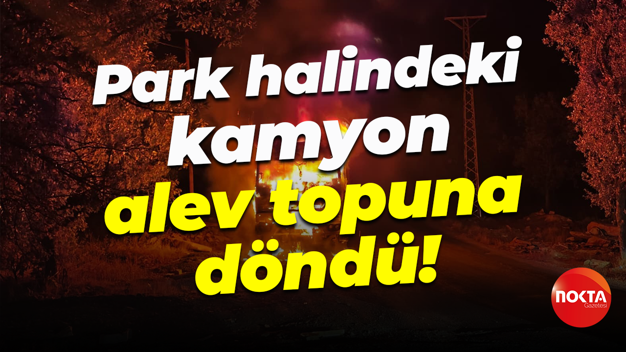Park halindeki kamyon alev topuna döndü!