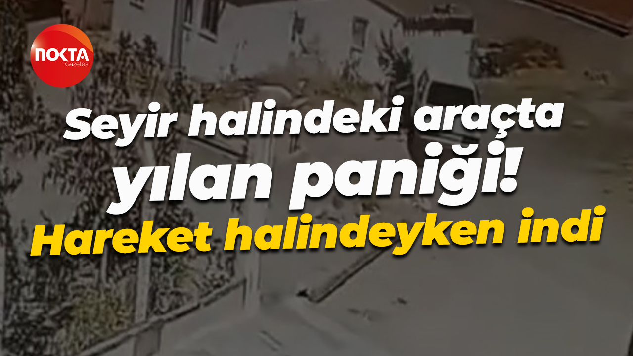 Seyir halindeki araçta yılan paniği! Hareket halindeyken indi