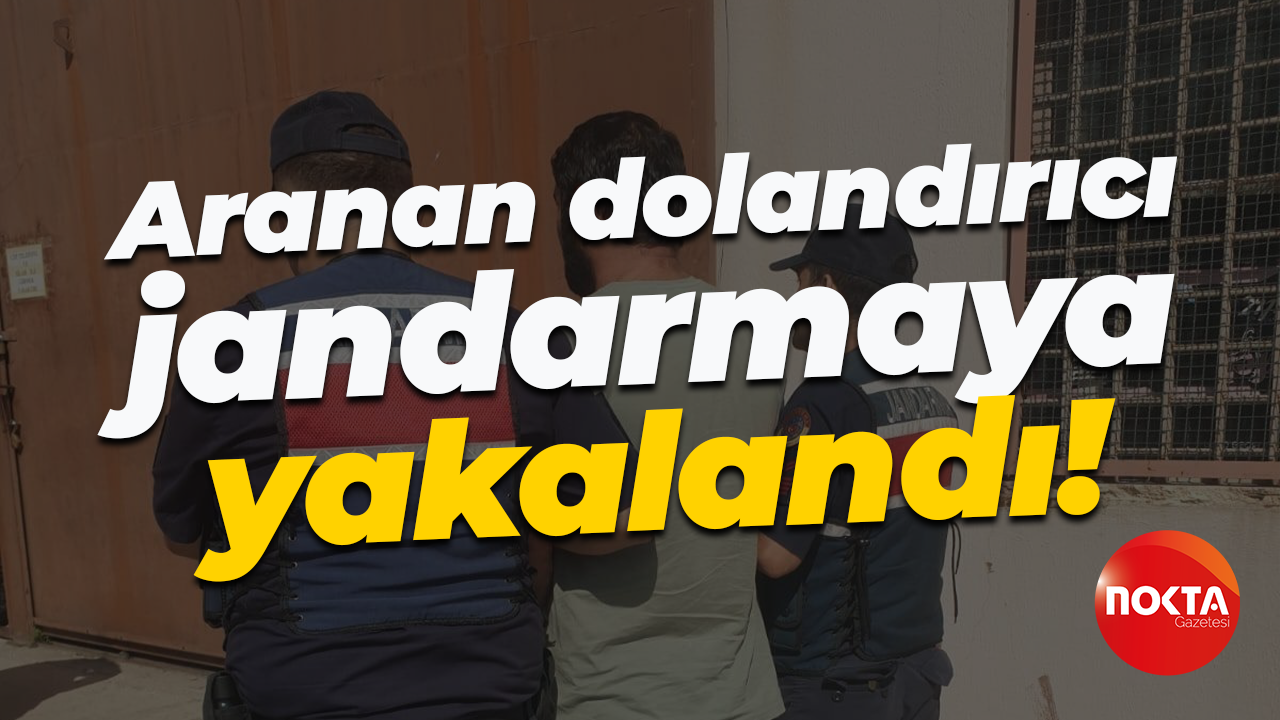 Aranan dolandırıcı jandarmaya yakalandı!