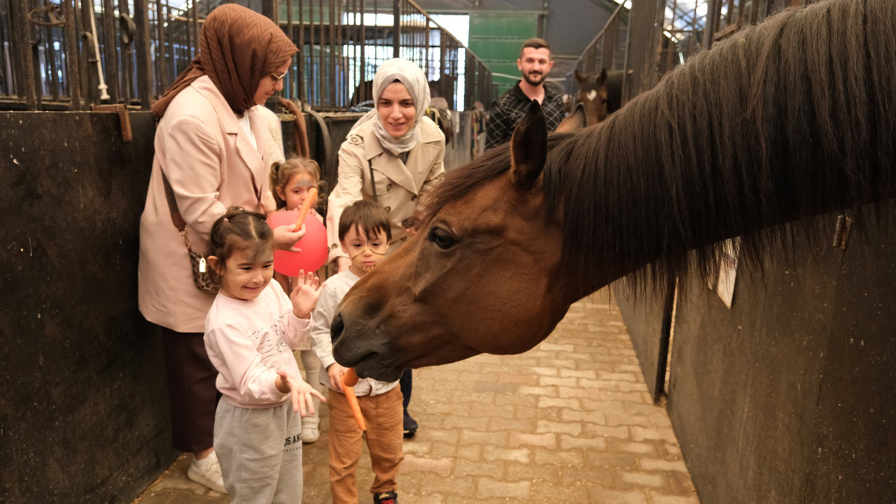 Kocaeli Büyükşehir Belediyesi'nden 4 Ekim Dünya Hayvanları Koruma Günü etkinliği