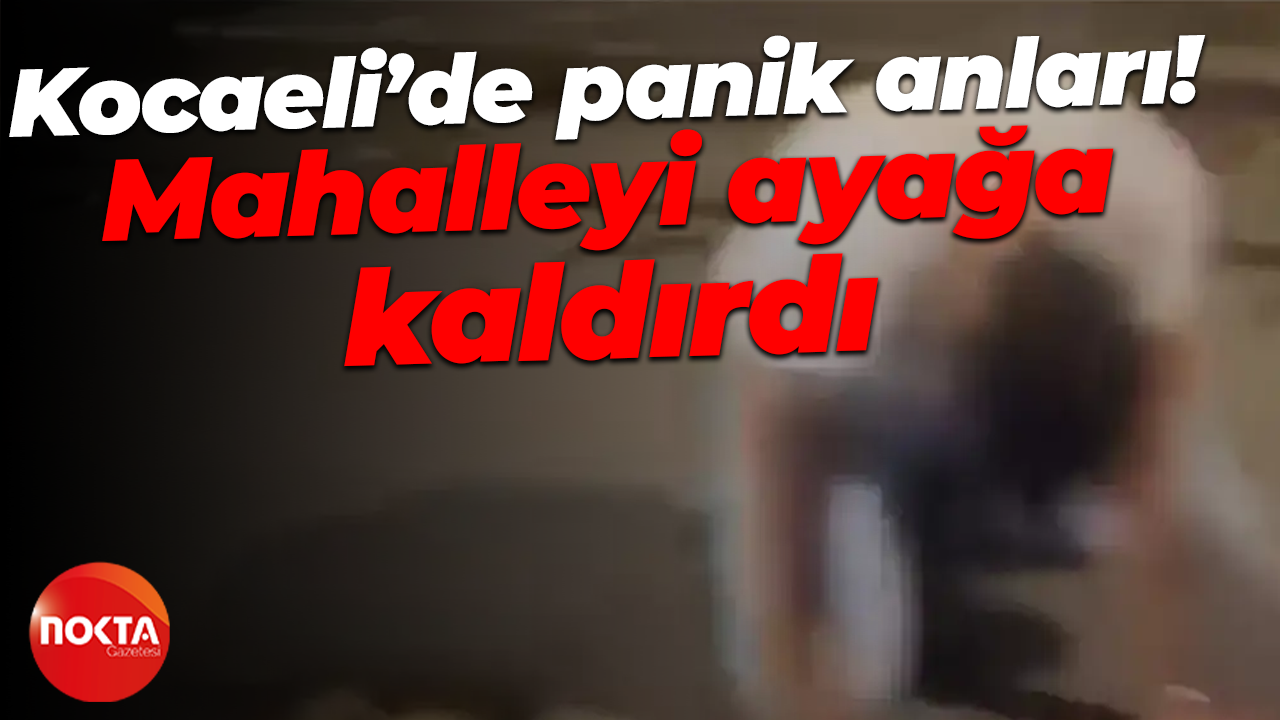 Karamürsel'de şüpheli şahıs korku yarattı!