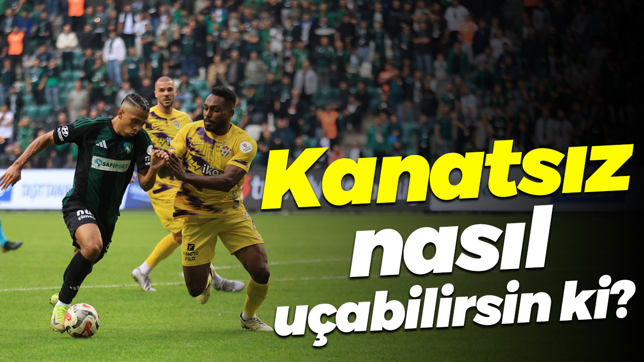 Kanatsız nasıl uçabilirsin ki?