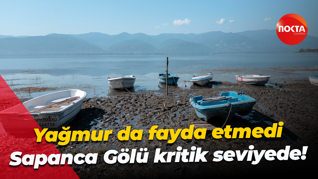 Yağmur da fayda etmedi... Sapanca Gölü kritik seviyede!