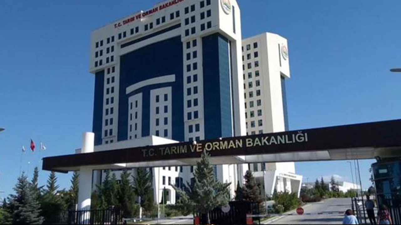 Tarım ve Orman Bakanlığı 200 Sözleşmeli Personel Alımı Başvurusu Nereden Yapılır?