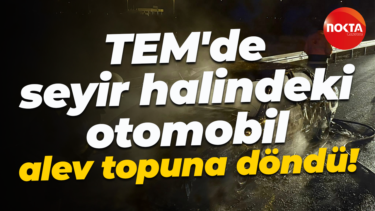 TEM'de seyir halindeki otomobil alev topuna döndü!