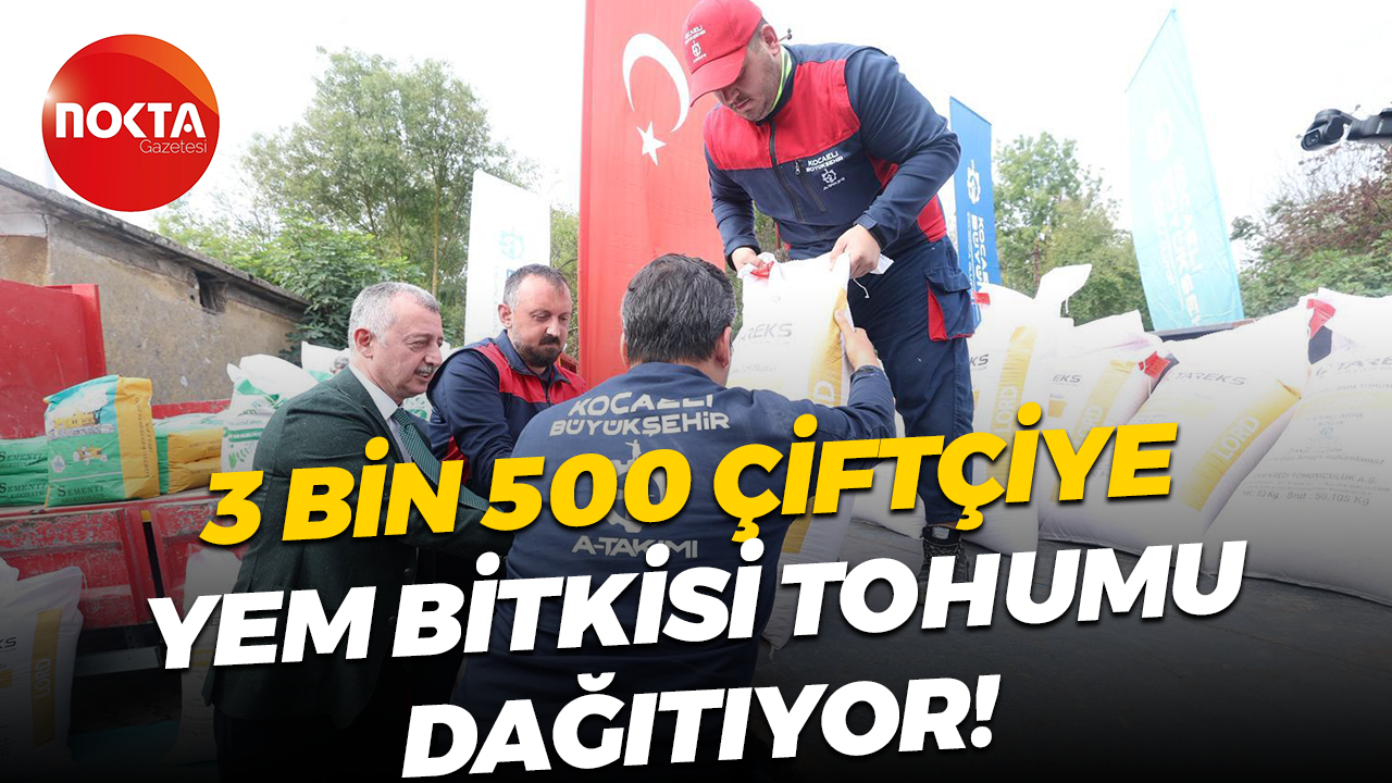3 bin 500 çiftçiye yem bitkisi tohumu dağıtıyor!