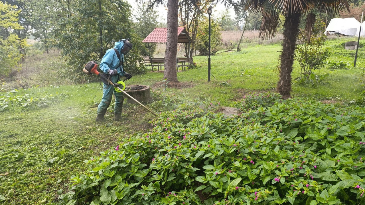 Başiskele'de yeşil alan bakımları devam ediyor
