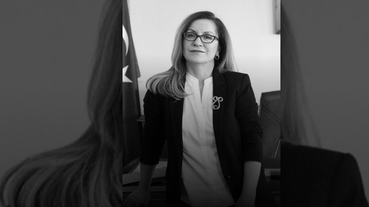 Mimar Sinan Güzel Sanatlar Üniversitesi Rektörü Handan İnci Kimdir? Handan İnci Neden Öldü?