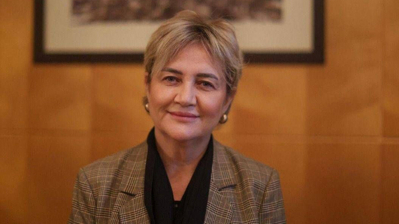 İpek Elif Atayman Kimdir, Kaç Yaşında? İpek Elif Atayman Neden Tutuklandı?