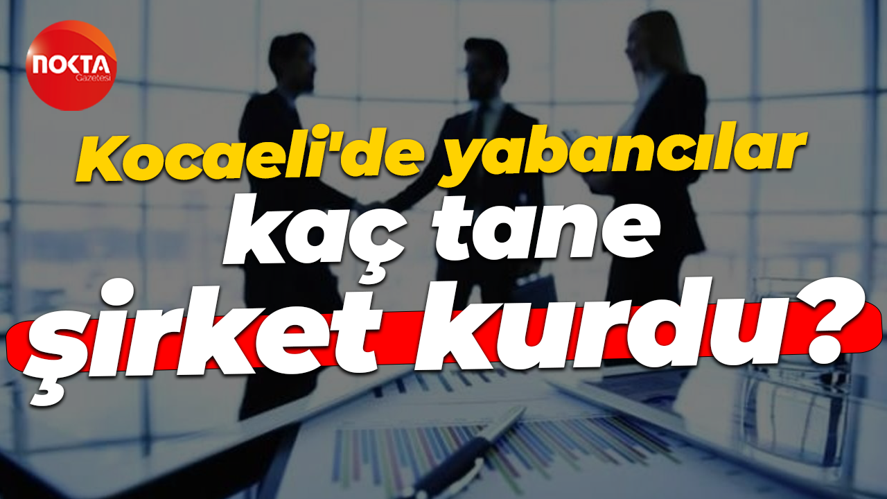 Kocaeli'de yabancılar kaç tane şirket kurdu?