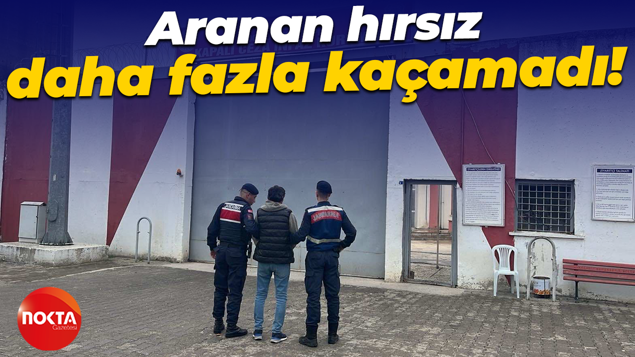 Aranan hırsız daha fazla kaçamadı!