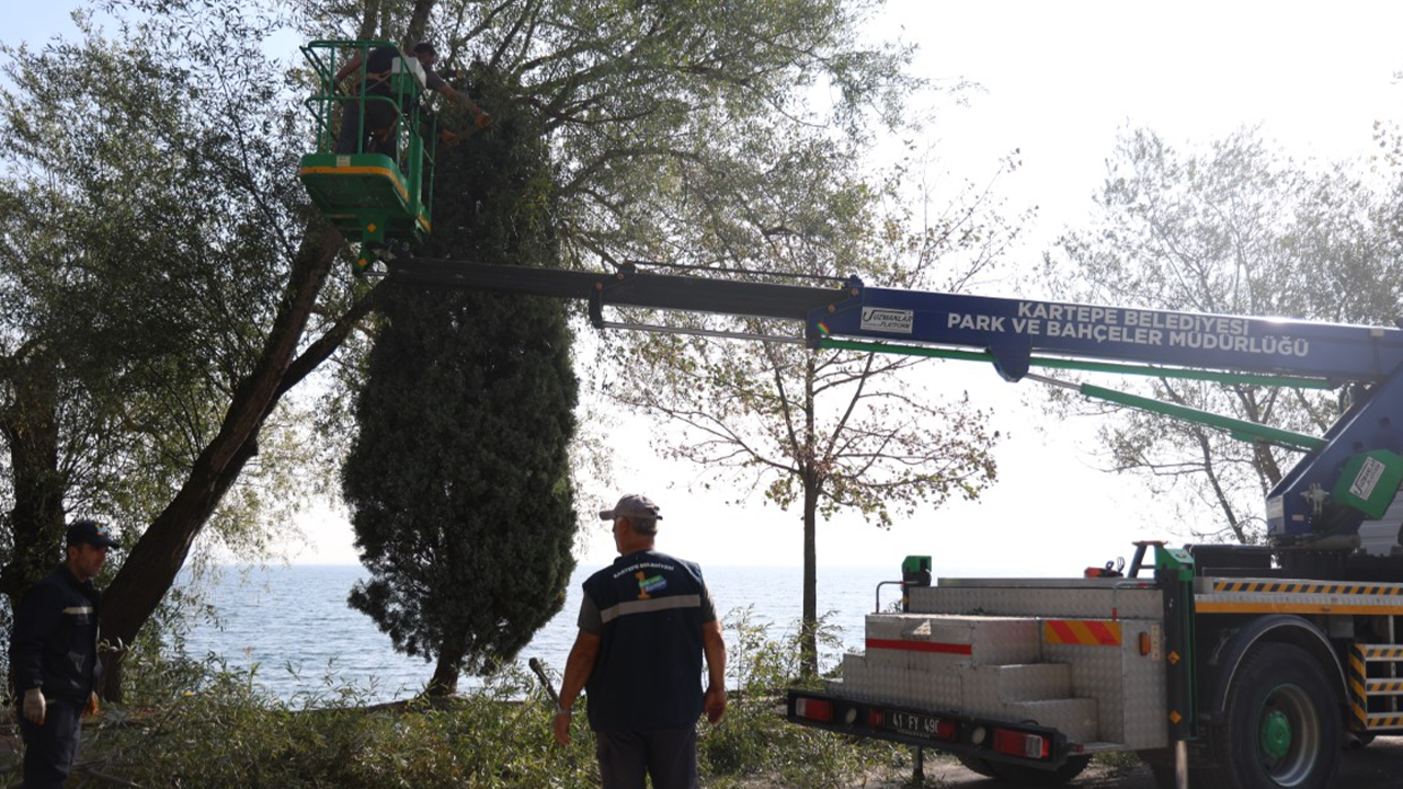 Kartepe Belediyesi'nden yeşil alanlarda bakım çalışması